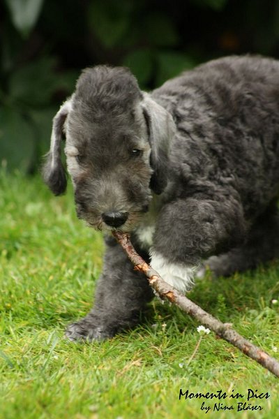 Antares 2009-07-12 (7).JPG